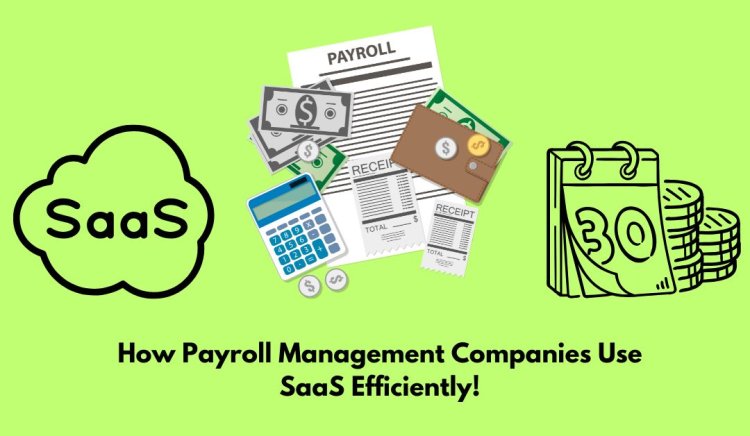 How Payroll Management Companies Use SaaS Efficiently!